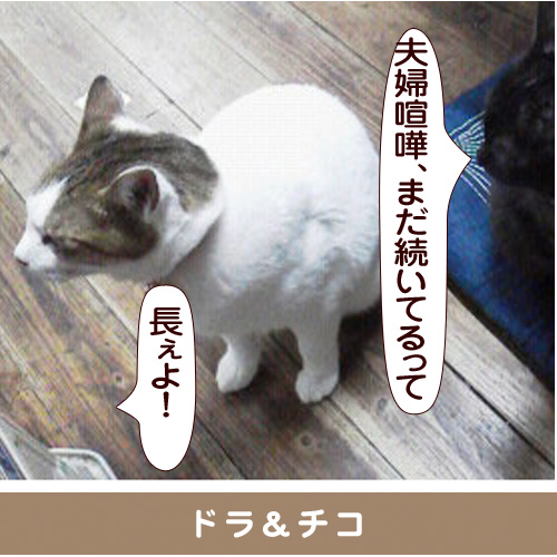 20150731_touko.jpg