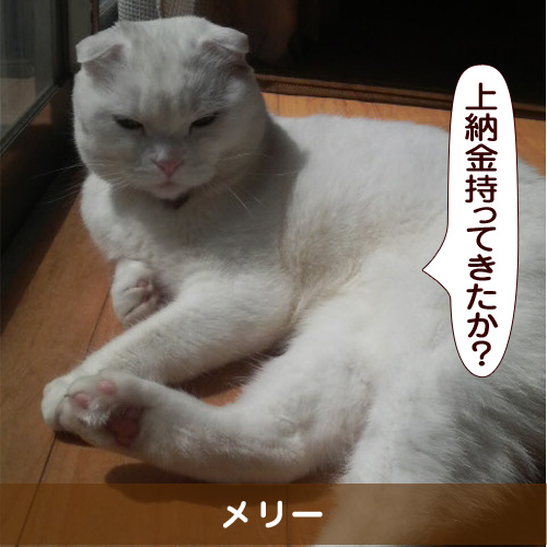 20150802_touko.jpg