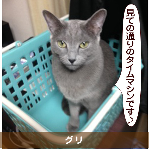 20150804_touko.jpg