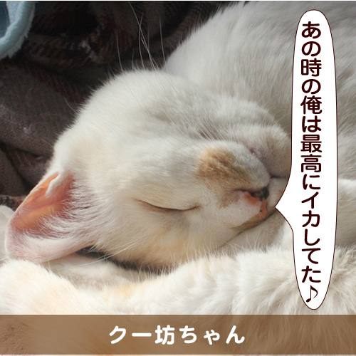 20150805_touko.jpg