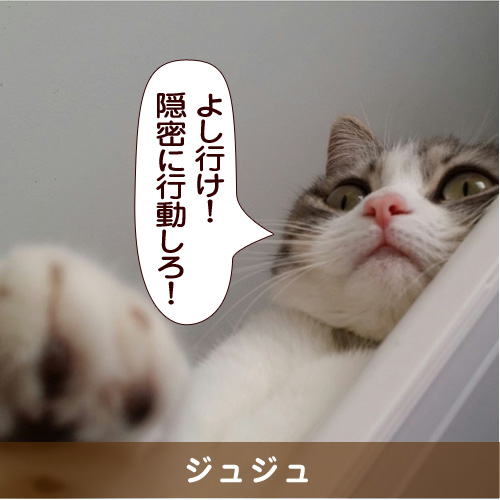 20150807_touko.jpg