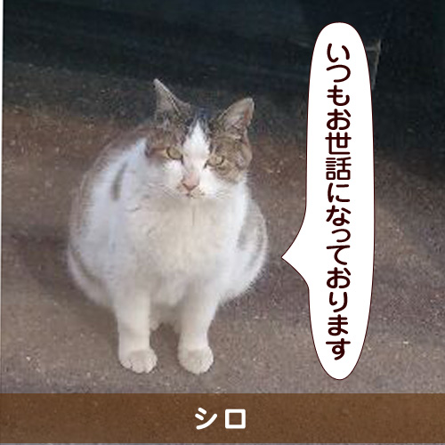 20150808_touko.jpg