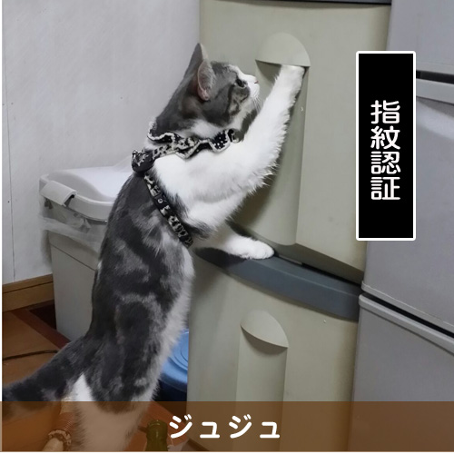 20150809_touko.jpg