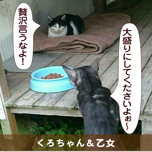 20150810_touko.jpg