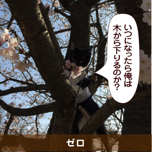 20150811_touko.jpg