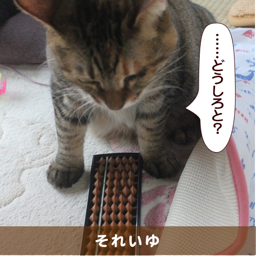 20150812_touko.jpg