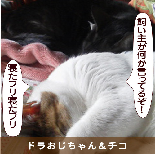 20150813_touko.jpg