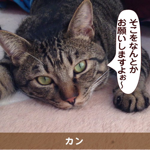 20150816_touko.jpg
