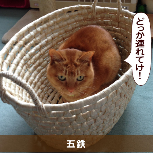 20150817_touko.jpg