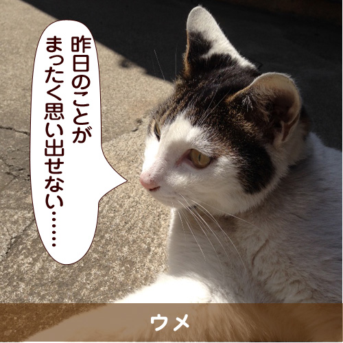 20150818_touko.jpg