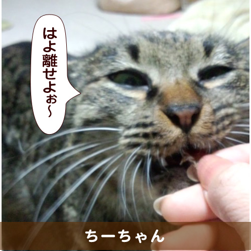 20150819_touko.jpg