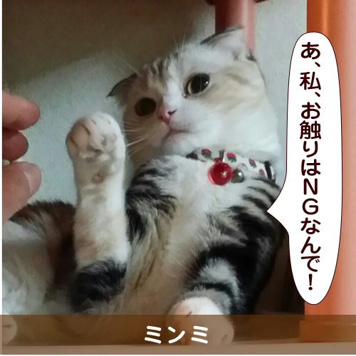 20150820_touko.jpg