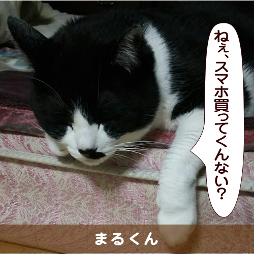 20150821_touko.jpg
