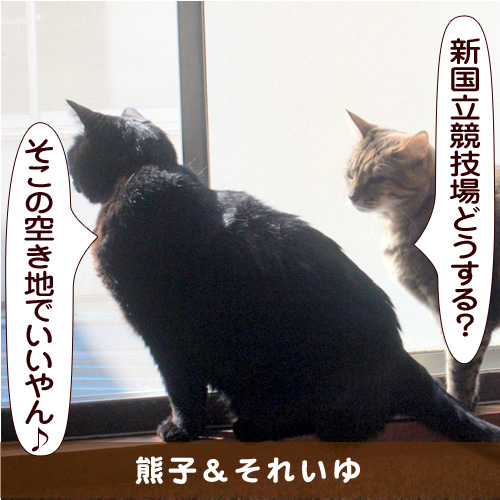 20150822_touko.jpg