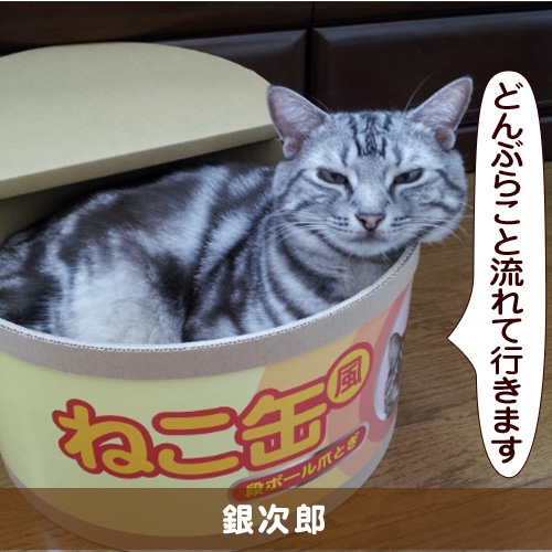 20150825_touko.jpg