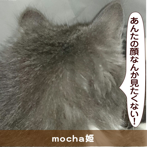 20150827_touko.jpg