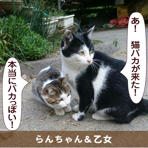 20150828_touko.jpg