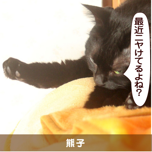20150829_touko.jpg