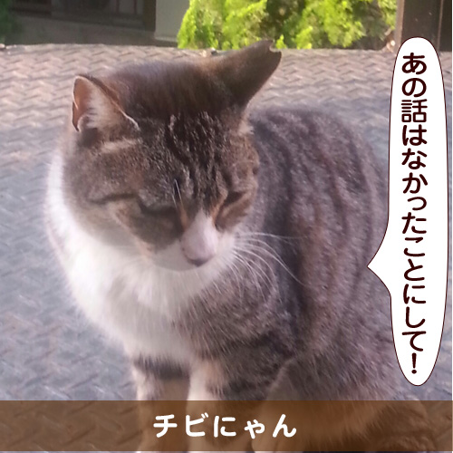 20150830_touko.jpg