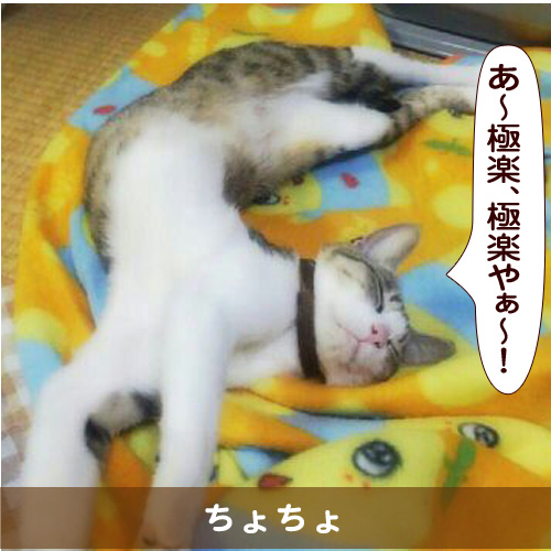 20150831_touko.jpg