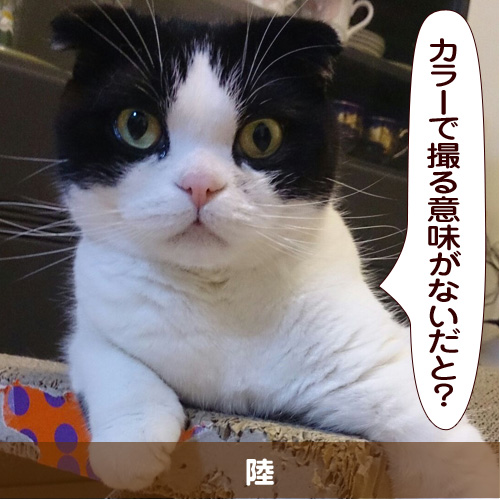 20150901_touko.jpg