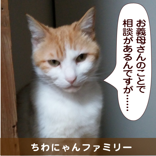 20150903_touko.jpg