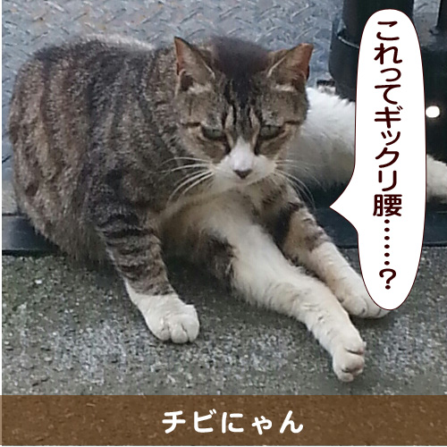 20150904_touko.jpg
