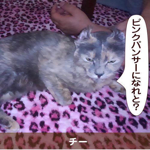 20150905_touko.jpg