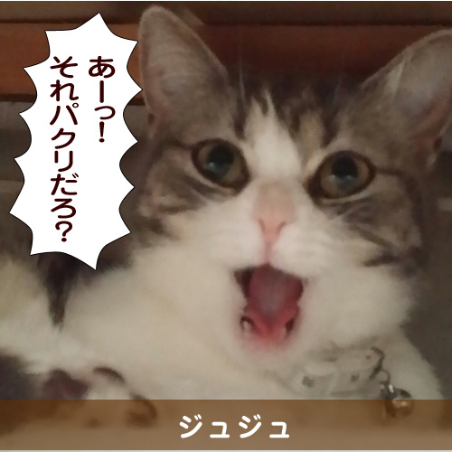 20150906_touko.jpg