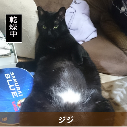 20150908_touko.jpg