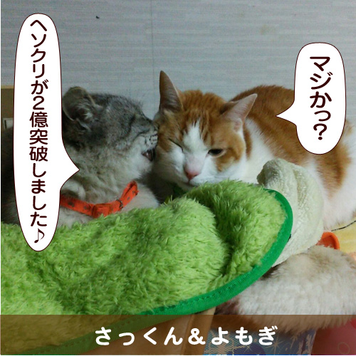 20150909_touko.jpg