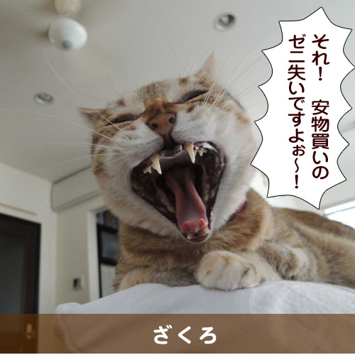 20150911_touko.jpg
