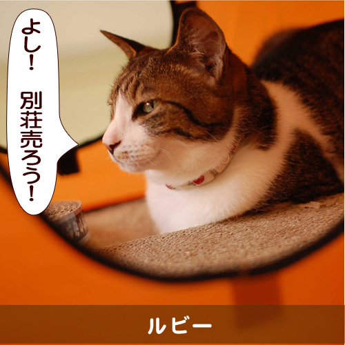 20150913_touko.jpg