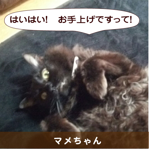 20150914_touko.jpg