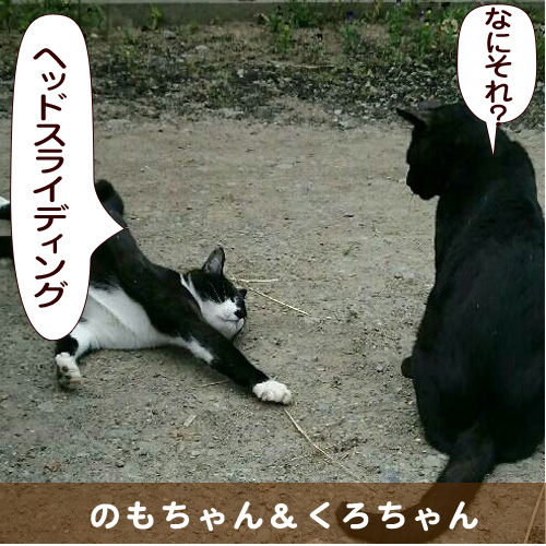 20150915_touko.jpg