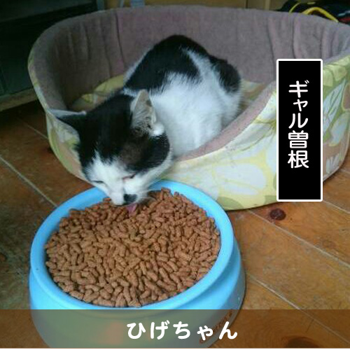 20150916_touko.jpg