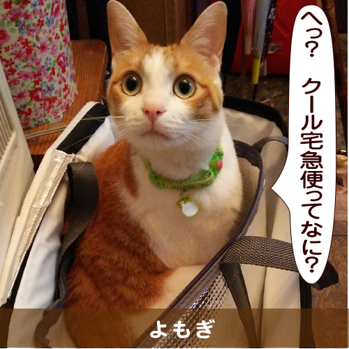 20150917_touko.jpg