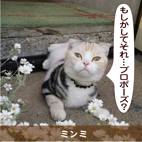20150918_touko.jpg