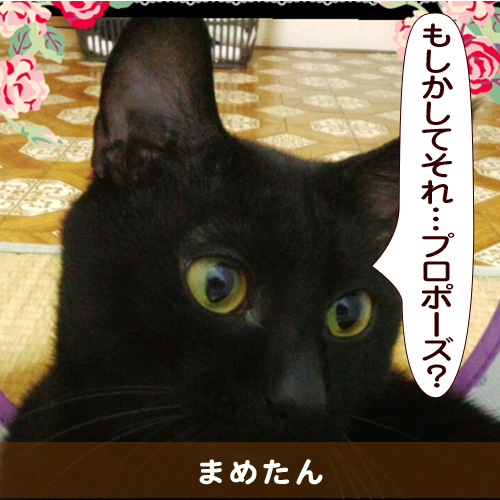 20150919_touko.jpg