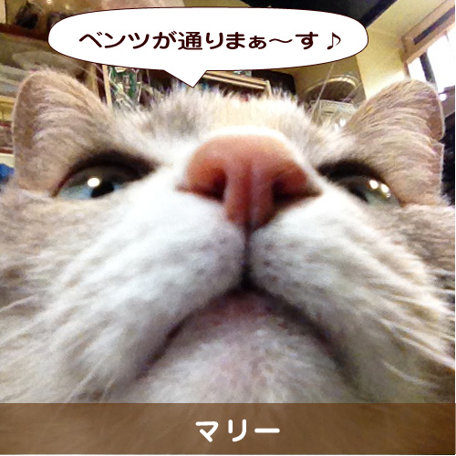 20150920_touko.jpg