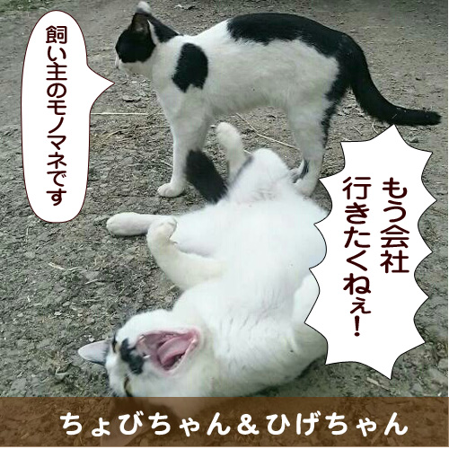 20150921_touko.jpg