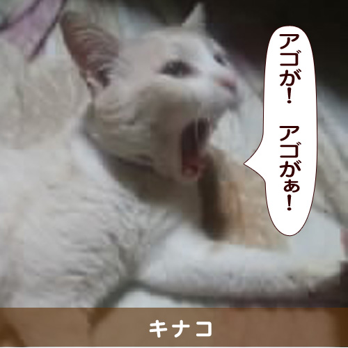 20150924_touko.jpg