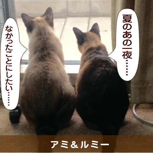 20150925_touko.jpg