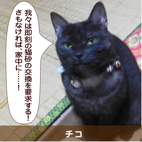 20150926_touko.jpg