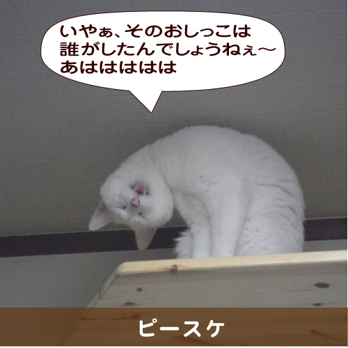 20150927_touko.jpg