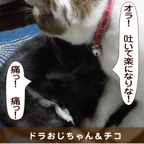 20150929_touko.jpg