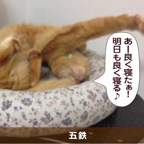 20151002_touko.jpg