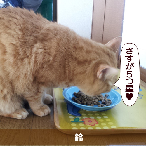 20151004_touko.jpg