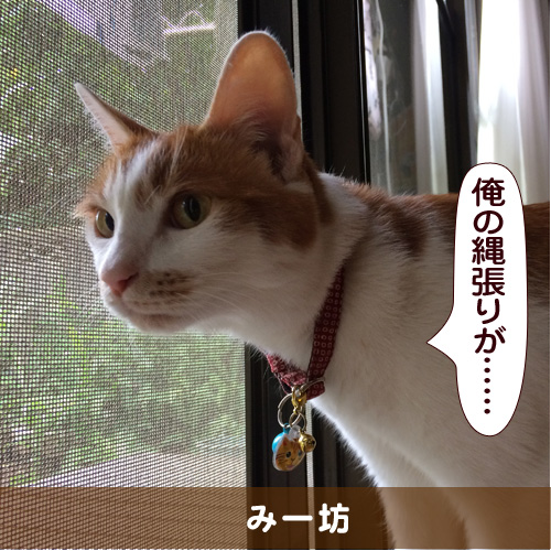 20151005_touko.jpg