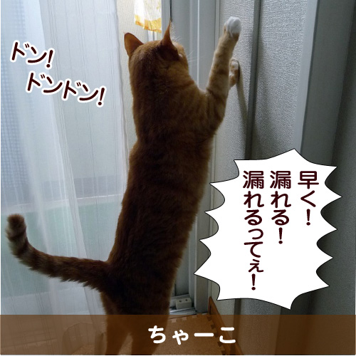 20151006_touko.jpg